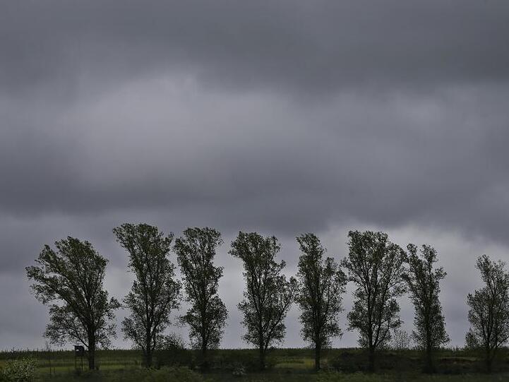 Eine Baumreihe steht unter dunklen Regenwolken. Foto: Karl-Josef Hildenbrand/dpa/Archivbild