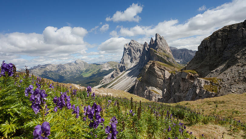 Schee is scho, aber zu viele wollen hin: die Region um die Seceda in den Dolomiten. Schee is scho, aber zu viele wollen hin: die Region um die Seceda in den Dolomiten.