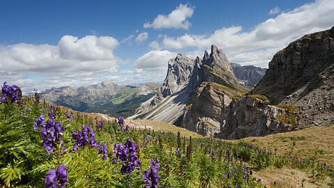 Schee is scho, aber zu viele wollen hin: die Region um die Seceda in den Dolomiten.