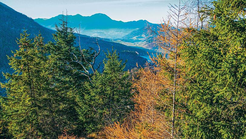 Der Blick vom Kienbergl zum Hochfelln. Der Blick vom Kienbergl zum Hochfelln.