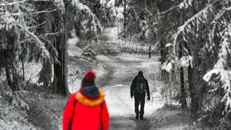 Wanderer gehen auf einem verschneiten Waldweg. (Archivbild)