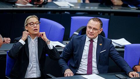 Die Gespr&auml;che von Alice Weidel, Co-Fraktionsvorsitzende und Co-Parteichefin der AfD, mit Unternehmern finden nach Angaben ihres Sprechers bislang meist im vertraulichen Rahmen statt.