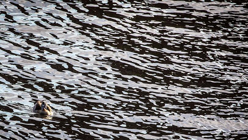 Auf dem Main in Unterfranken gab es eine Havarie, bei der Dieselkraftstoff ins Wasser gelaufen ist. (Symbolbild)