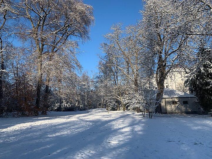 Der erste Schnee in München.