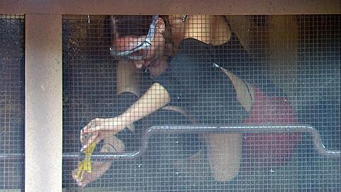 Bei den Dschungelpr&uuml;fungen ist Samira Yavuz &uuml;ber sich hinausgewachsen.