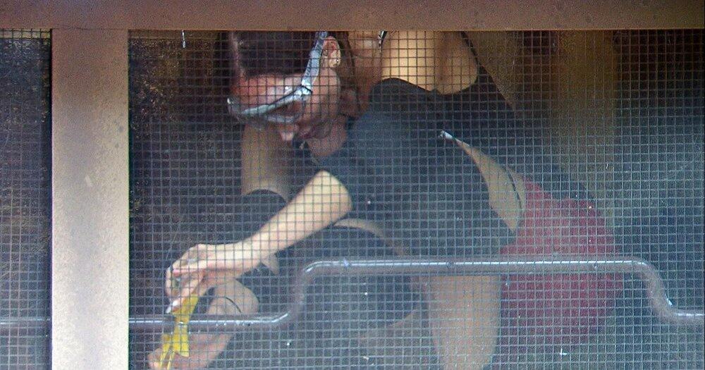 Dschungelprinzessin-Samira-Yavuz-ist-stolz-auf-ihren-zweiten-Platz