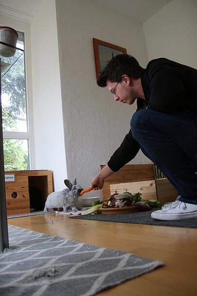 Hier kommt die Urlaubsfütterung fürs Kaninchen vom mobilen Tierbetreuer. Hier kommt die Urlaubsfütterung fürs Kaninchen vom mobilen Tierbetreuer.