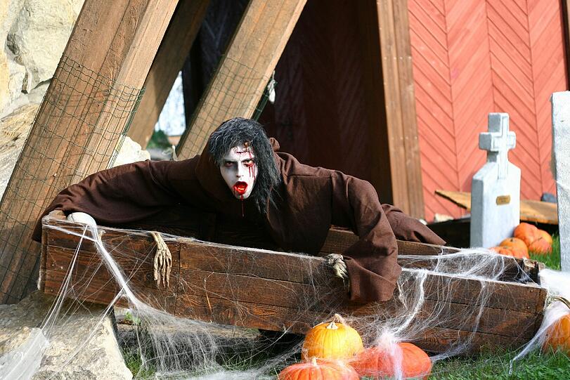 Beim Erschrecker-Casting im Heide-Park in Soltau werden Hobby-Vampire für die Halloween-Events Ende Oktober gesucht.