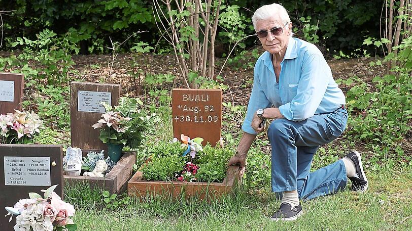 Manfred Fellner (79) am Grab von Buali. Seit 2009 liegt der Zwergschnauzer-Pudel-Mischling hier.
