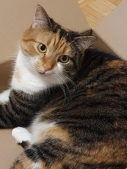 Lucy