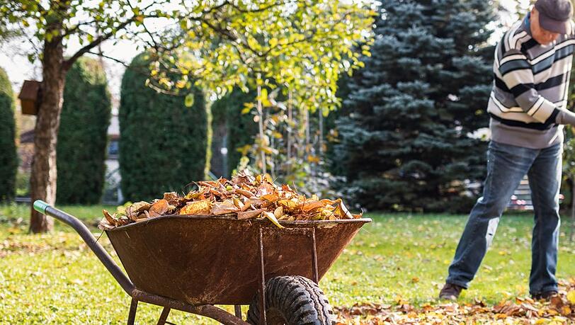 Im Herbst gibt es im Garten einiges zu tun.