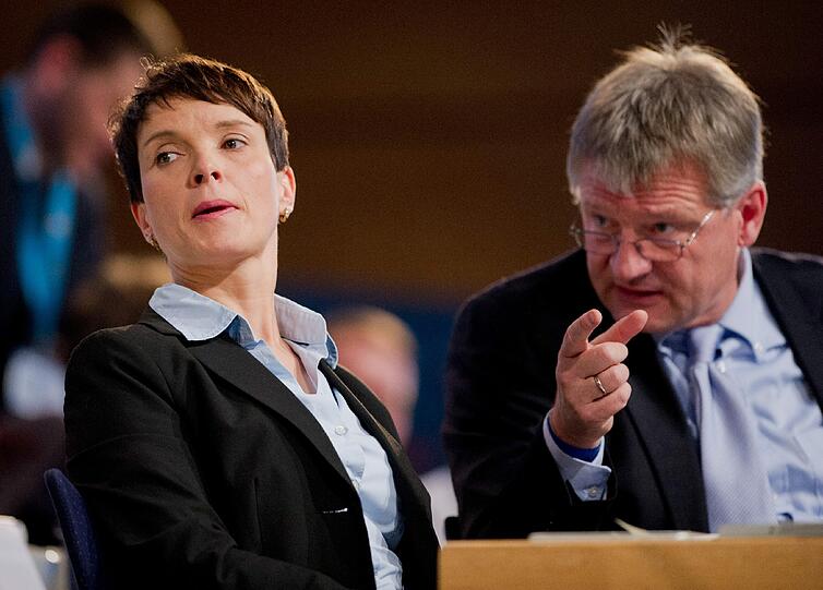 Die Parteivorsitzenden der AfD, Frauke Petry und Jörg Meuthen, Ende November beim Parteitag in Hannover.