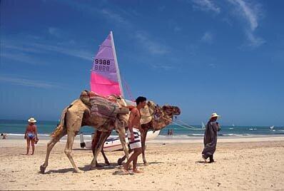 Kamelreiten am Strand von Djerba, Foto: Geh