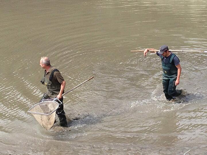Die Suche nach Alligator-Schildkröte "Lotti" geht weiter. Hier sehen Sie die Bilder vom Badesee in Irsee.