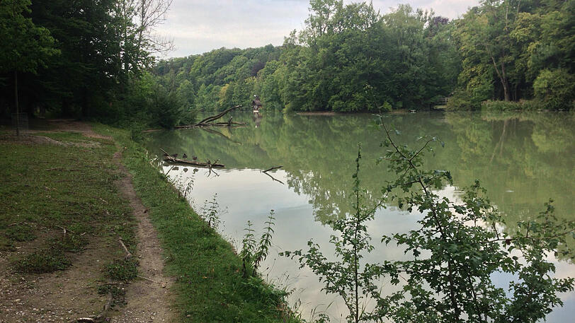 Der Hinterbrühler See sieht derzeit nicht sehr einladend aus: Das Wasser ist milchig und trüb.