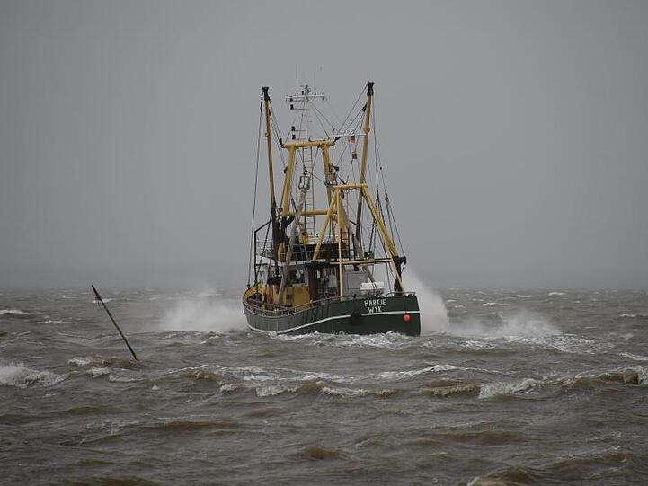 Deutsche Nordsee-Fischer müssen im kommenden Jahr mit deutlich niedrigeren Fangmengen auskommen.