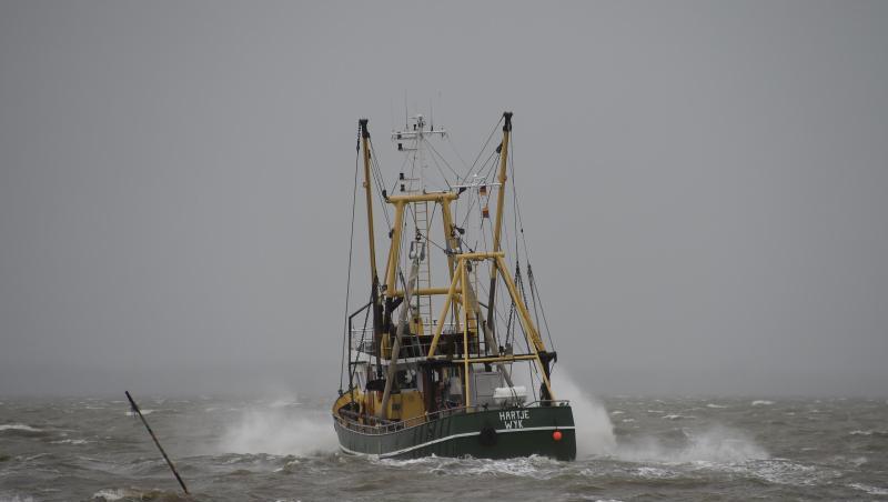 Deutsche Nordsee-Fischer müssen im kommenden Jahr mit deutlich niedrigeren Fangmengen auskommen. Deutsche Nordsee-Fischer müssen im kommenden Jahr mit deutlich niedrigeren Fangmengen auskommen.