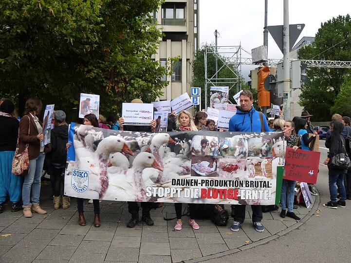 Vor dem Gericht demonstrierten vor und während der Verhandlung 50 bis 60 Tierschützer.