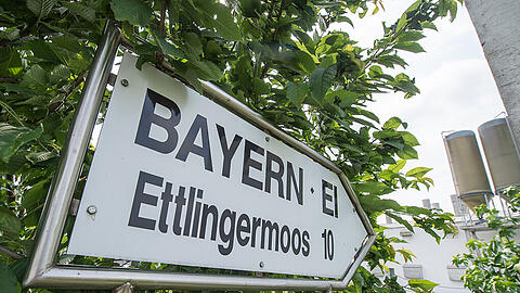 Das Betriebsgelände der Firma Bayern-Ei nahe Wallersdorf (Bayern), aufgenommen am 11.06.2015.