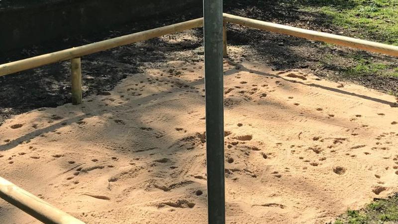Ein Hundeklo aus Sand und abgrenzenden Holzstreben befindet sich auf einer Rasenfäche. Foto: André Winkel/Stadt Nürnberg Ein Hundeklo aus Sand und abgrenzenden Holzstreben befindet sich auf einer Rasenfäche. Foto: André Winkel/Stadt Nürnberg