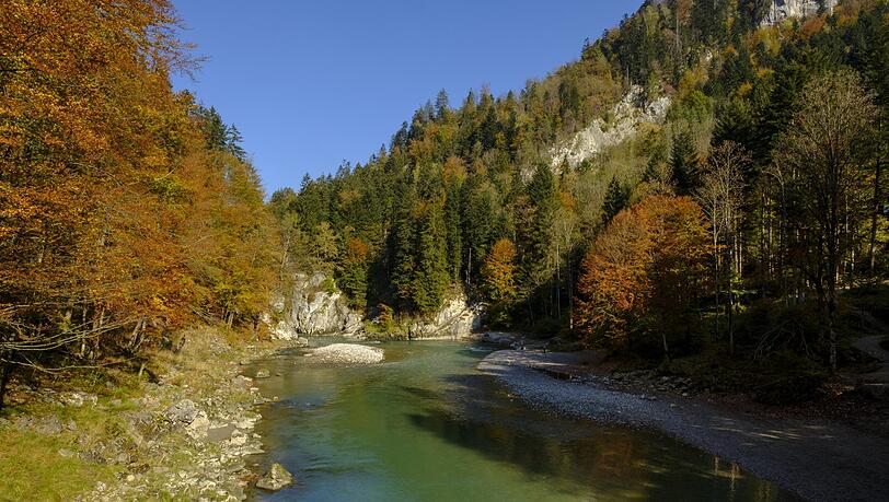 Die schon herbstliche Entenlochklamm. Die schon herbstliche Entenlochklamm.