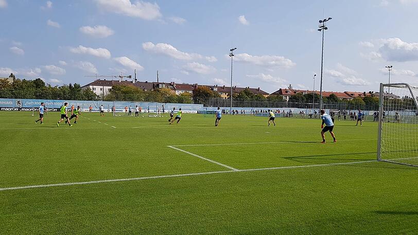 Die Löwen trainierten am Dienstag bei sommerlichen Temperaturen.