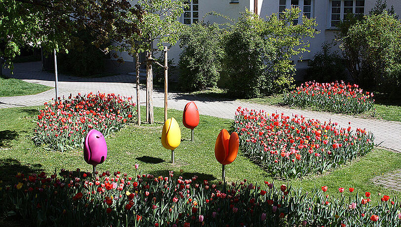 Die kunterbunten Tulpi-Stühle stehen jetzt im Künstlerhof in Neuhausen. Die kunterbunten Tulpi-Stühle stehen jetzt im Künstlerhof in Neuhausen.