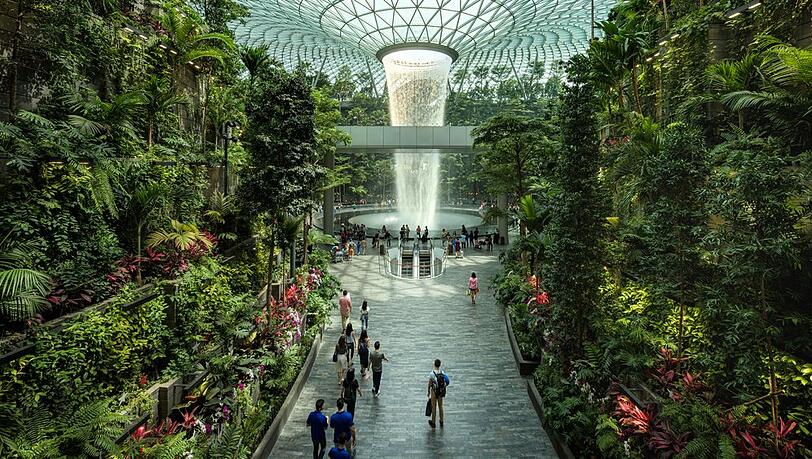 Der Changi Airport in Singapur beeindruckt mit &uuml;ppigen G&auml;rten und au&szlig;ergew&ouml;hnlicher Architektur.