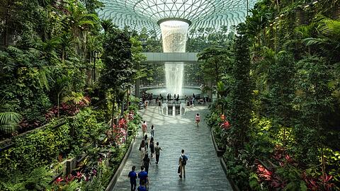 Der Changi Airport in Singapur beeindruckt mit &uuml;ppigen G&auml;rten und au&szlig;ergew&ouml;hnlicher Architektur.