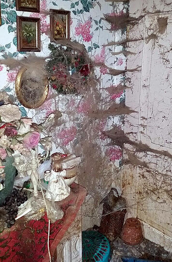 Müll, Exkremente, Tier-Kadaver: Die Bilder aus dem Horror-Haus sind kaum zu ertragen.