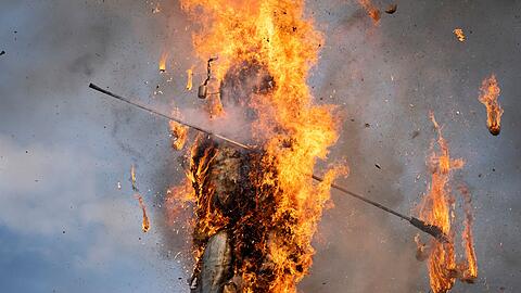 Die schnelle Explosion des "B&ouml;&ouml;ggs" verspricht einen guten Sommer