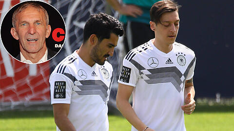 Der Chef des Deutschen Theaters Werner Steer (kleines Foto) zog via Twitter über Mesut Özil und Ilkay Gündogan her.