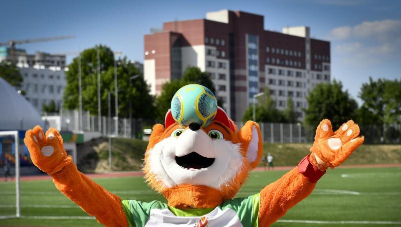 Das offizielle Maskottchen der 2. Europaspiele ist Lesik, ein Babyfuchs. Das offizielle Maskottchen der 2. Europaspiele ist Lesik, ein Babyfuchs.