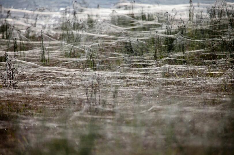 Mehr als 9000 Bewohner wurden aufgefordert, ihre Häuser zu verlassen. Tausende Familien sitzen in Ost-Australien nach den stärksten Regenfällen seit den 1920er Jahren bereits in Notunterkünften. In den vergangenen Tagen hatten nach Behördenangaben rund 5000 Menschen ihr Zuhause verlassen müssen. Das Flutdrama in forderte bislang zwei Todesopfer.