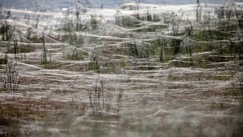 Mehr als 9000 Bewohner wurden aufgefordert, ihre Häuser zu verlassen. Tausende Familien sitzen in Ost-Australien nach den stärksten Regenfällen seit den 1920er Jahren bereits in Notunterkünften. In den vergangenen Tagen hatten nach Behördenangaben rund 5000 Menschen ihr Zuhause verlassen müssen. Das Flutdrama in forderte bislang zwei Todesopfer. Mehr als 9000 Bewohner wurden aufgefordert, ihre Häuser zu verlassen. Tausende Familien sitzen in Ost-Australien nach den stärksten Regenfällen seit den 1920er Jahren bereits in Notunterkünften. In den vergangenen Tagen hatten nach Behördenangaben rund 5000 Menschen ihr Zuhause verlassen müssen. Das Flutdrama in forderte bislang zwei Todesopfer.