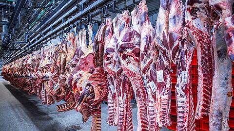 Nach Jahren rückläufiger Schlachtungen ist die Zahl der Schweineschlachtungen im vergangenen Jahr wieder leicht gestiegen. (Archivfoto)