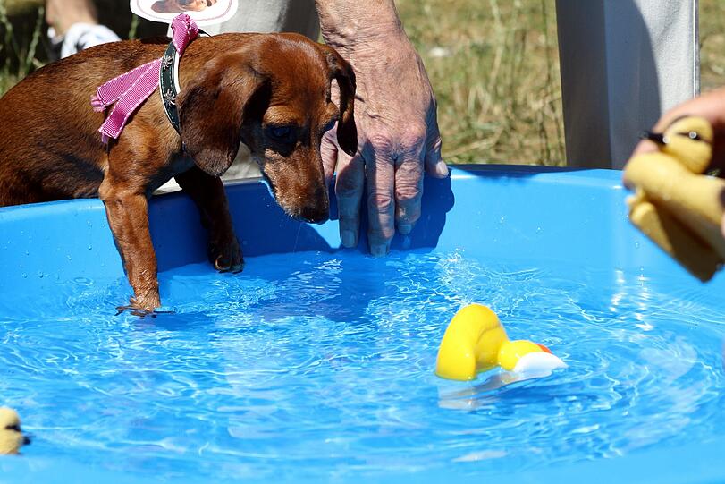 Einen Pool, standesgemäß.