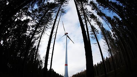 Ein Windrad im Wald – oder mehrere? Im Ebersberger Forst, aber auch im Forstenrieder Park könnte das einmal Wirklichkeit werden.