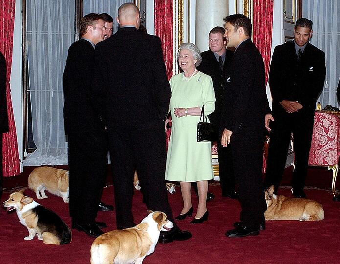...kein Wunder, nach Jahren des gemeinsamen Zusammenlebens kann sich da durchaus eine Verhaltens-Adaption ergeben - Queen Elizabeths Hunde begleiten sie sogar zu Staatsbesuchen...