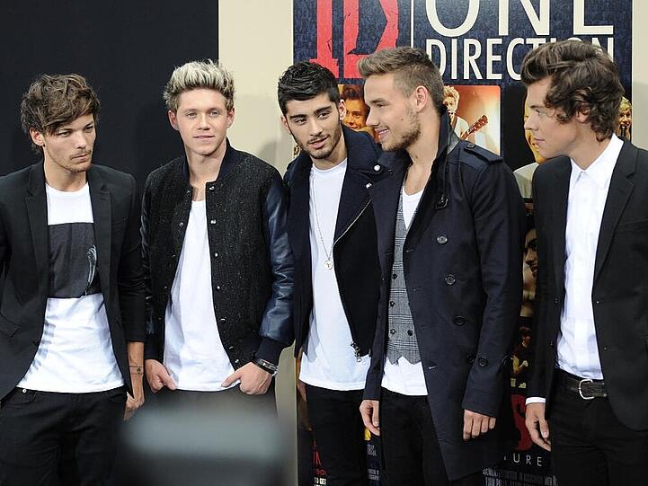 Die Jungs der Boyband One Direction haben es mittlerweile bis ganz nach oben geschafft