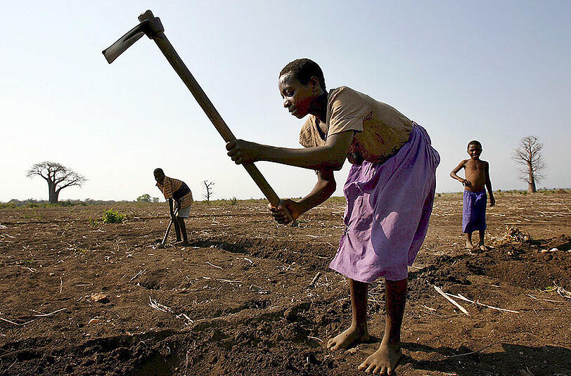 Bauern in Malawi &ndash; kann Bioökonomie ihnen helfen?