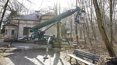Rund um die Magdalenenklause lichten Arbeiter den Wald.