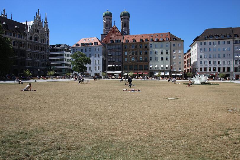 Krasser Kontrast zum blauen Himmel: die verdörrte &bdquo;Grünfläche&ldquo; am Marienhof. Der dringend notwendige Regen lässt auf sich warten.