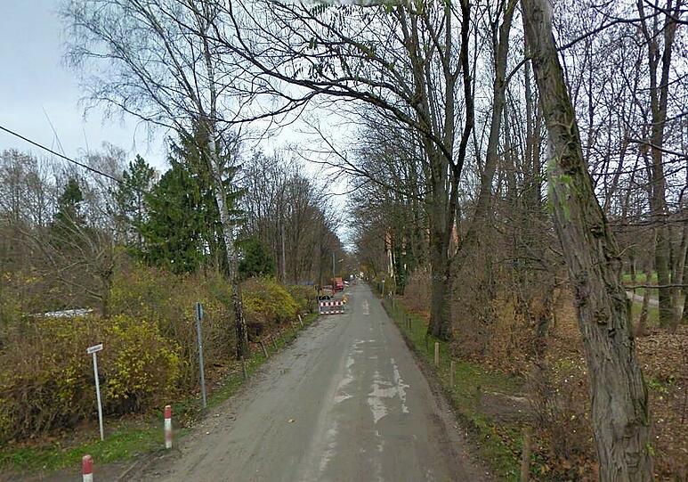 Idyllisch: Eine Spazierfahrt durch den Englischen Garten. Die Gyßlingstraße führt in Richtung Hirschau.