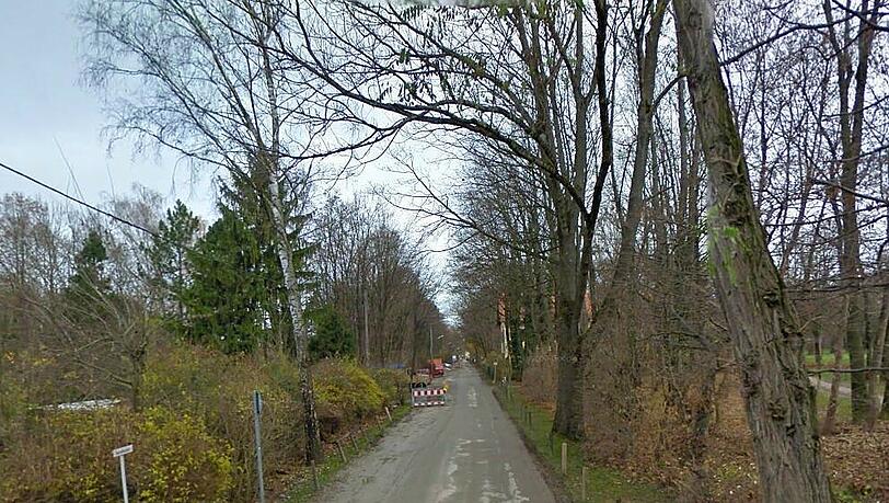 Idyllisch: Eine Spazierfahrt durch den Englischen Garten. Die Gyßlingstraße führt in Richtung Hirschau. Idyllisch: Eine Spazierfahrt durch den Englischen Garten. Die Gyßlingstraße führt in Richtung Hirschau.