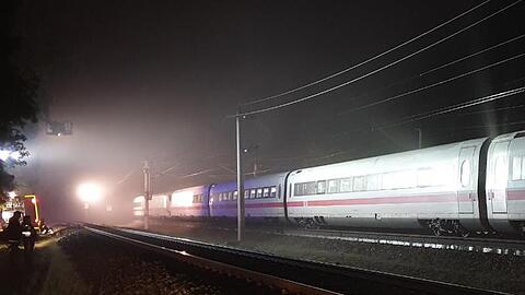 Stillstand: Der liegengebliebene ICE bei Nauen in Brandenburg.