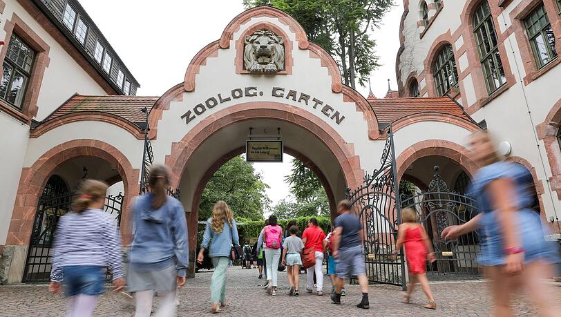 Der Leipziger Zoo hat drei Tigerbabys eingeschläfert. (Archivbild)