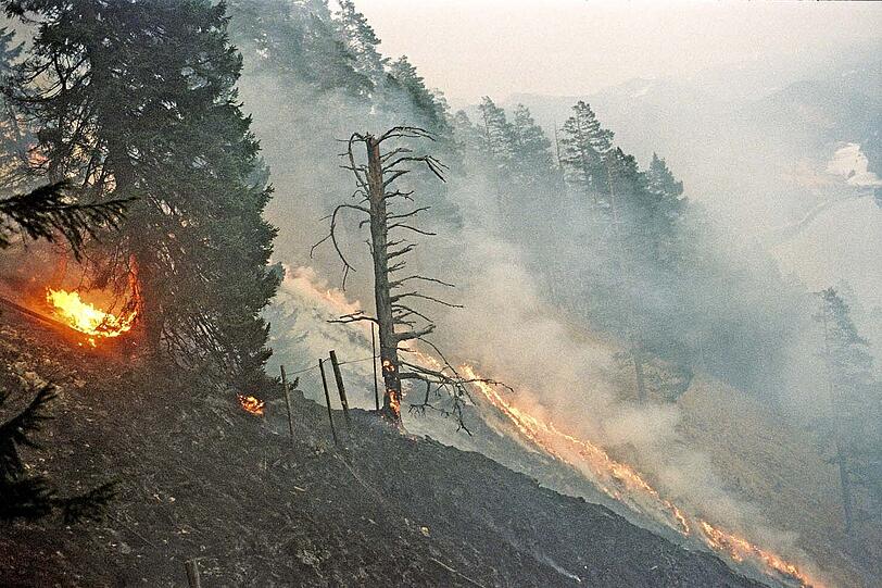 Der Herzogstand brannte großflächig. Offenbar waren Brandstifter am Werk.