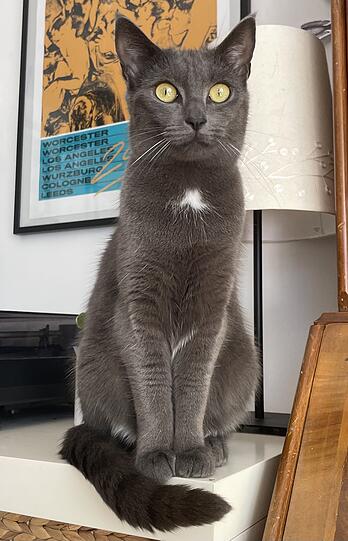 Clara