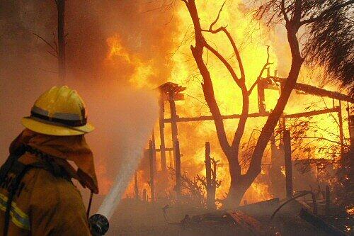 1000 Feuerwehrleute kämpfen gegen die Flammen